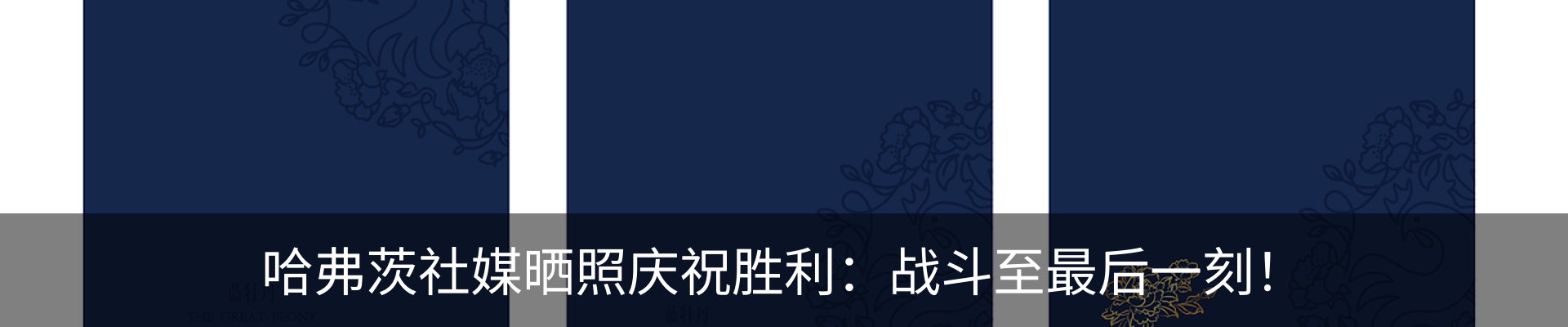 最新动态