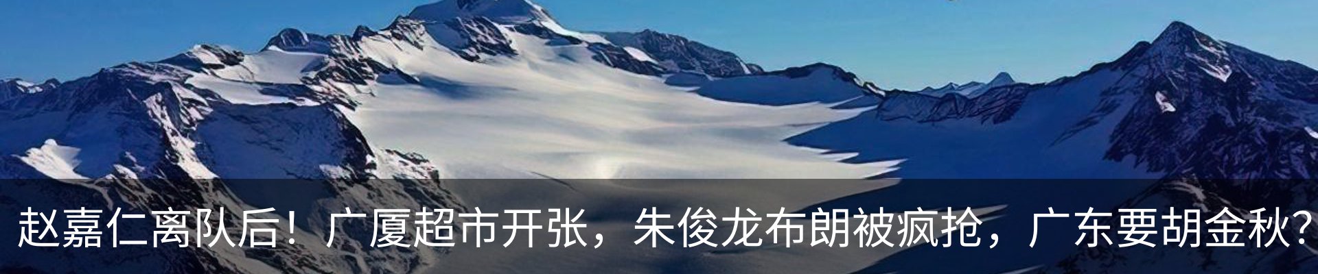 最新动态