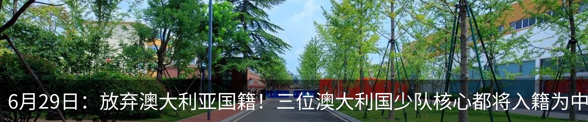 最新动态